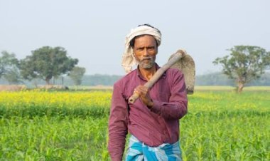 Maharashtra Farmers Relief: सूखे के बीच किसानों के लिए बड़ा फैसला, दिवाली से पहले खातों में आएंगे ₹5,000; जानें किसे मिलेगा फायदा