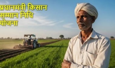 दिवाली से पहले आएगी योजना की 24वीं किस्त! किसान जल्द पूरे कर लें ये काम, वरना अटक सकते हैं पैसे