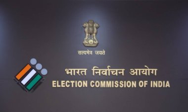 MP की 1 राज्यसभा सीट पर उपचुनाव, 12 नवंबर को वोटिंग, EC ने जारी किया शेड्यूल