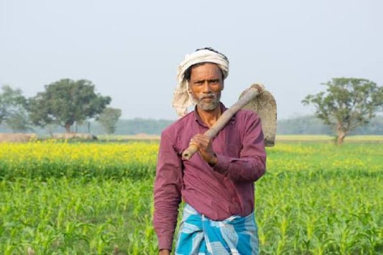 Maharashtra Farmers Relief: सूखे के बीच किसानों के लिए बड़ा फैसला, दिवाली से पहले खातों में आएंगे ₹5,000; जानें किसे मिलेगा फायदा