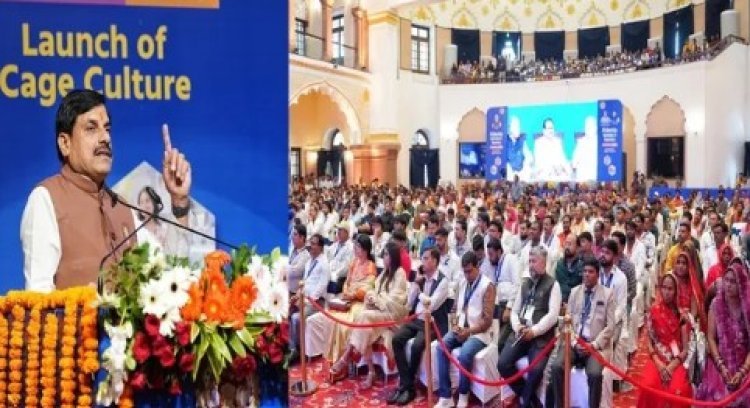 मत्स्य पालन को फूड प्रोसेसिंग उद्योग से जोड़ा जाएगा, एकीकृत उद्योगों को MSME के तहत प्रोत्साहन- इंसेंटिव दिया जाएगा