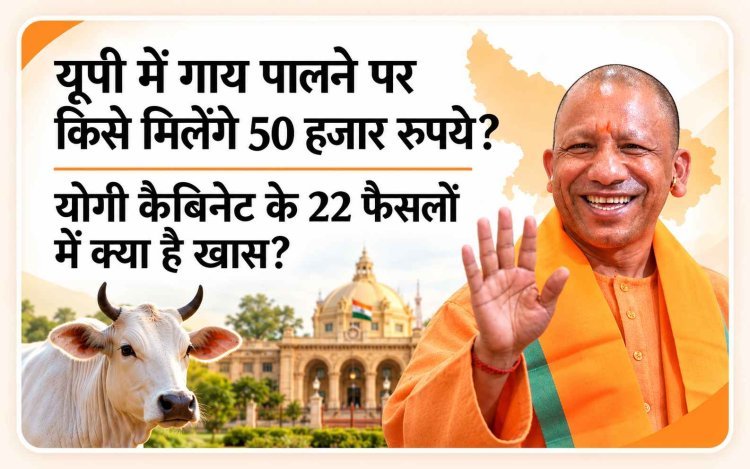 यूपी में गाय पालने पर किसे मिलेंगे 50 हजार रुपये? योगी कैबिनेट के 22 फैसलों में क्या है खास?